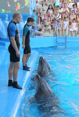 Дети Приморского района Одессы посетили Одесский дельфинарий 