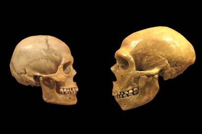 Найдены древнейшие останки Homo sapiens за пределами Африки