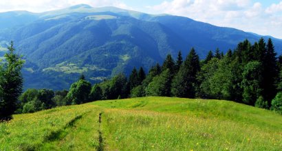 Зеленский подписал указ о стимулировании развития Карпатского региона 