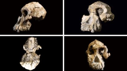 Скелету из песни Люси придется уступить - найден череп первого человека на Земле