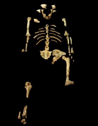 Скелету из песни Люси придется уступить - найден череп первого человека на Земле