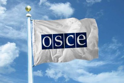 Миссия ОБСЕ обнародовала отчет по Донбассу