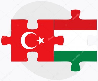 Глава МИД Венгрии поддержал вторжение Турции в Сирию