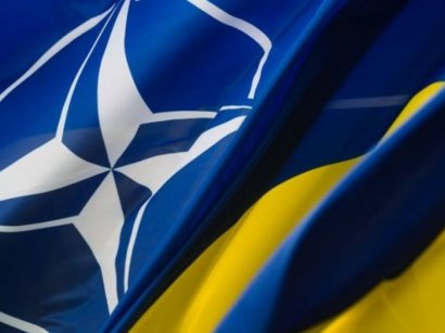 Делегация НАТО начала визит в Украину
