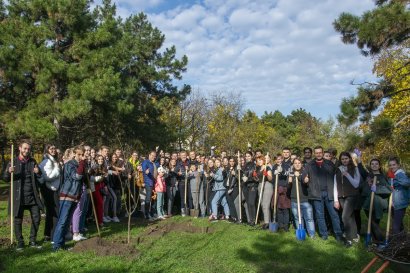 Самый масштабный субботник сезона: студенты Одесской Юракадемии и МГУ приводят в порядок склоны и парки города