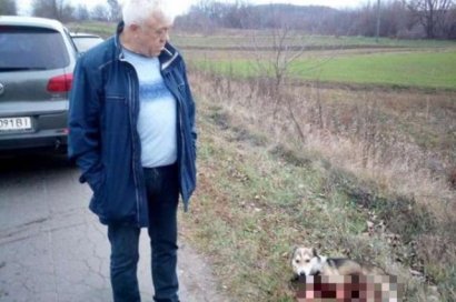Чиновник из Хмельницкого привязал собаку к машине и протащил 1,5 километра