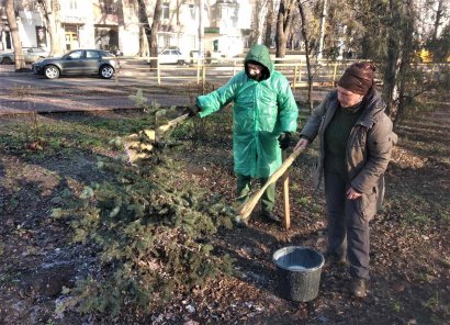 Одесские озеленители защищают зеленые насаждения от вандалов