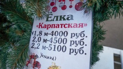 В Симферополе продают украинские елки