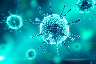 Что надо знать про новый коронавирус: распространение, симптомы, опасность, лечение