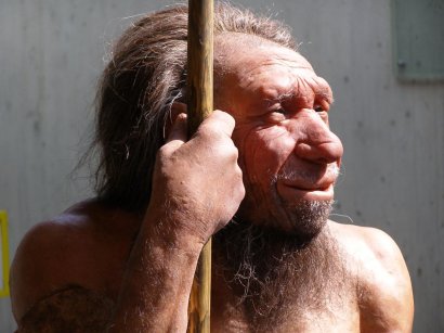Ученые обнаружили, что все современные люди имеют ДНК неандертальцев 