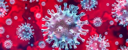 Скалецкая сообщила, когда в Украину завезут тест-систему на коронавирус