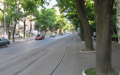 Реконструкция Французского бульвара: трамвай решили оставить, а количество деревьев — увеличить