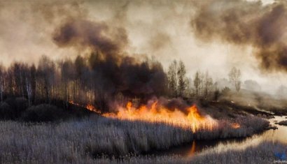 Одесские спасатели продолжают службу в Чернобыльской зоне