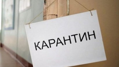 Пошаговая инструкция, как выжить в условиях коронавирусного карантина