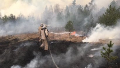Спасатели остановили распространение огня в Чернобыльской зоне