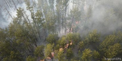 Пожары уничтожили около 5% Чернобыльского заповедника